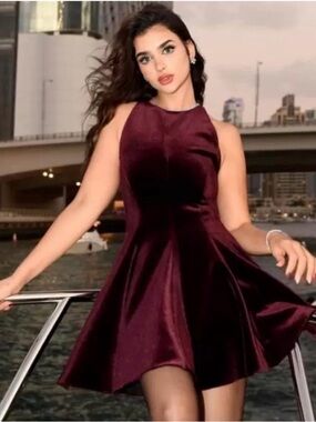 Zara Burgundy Velvet Sleeveless Fit-and-Flare Mini Dress